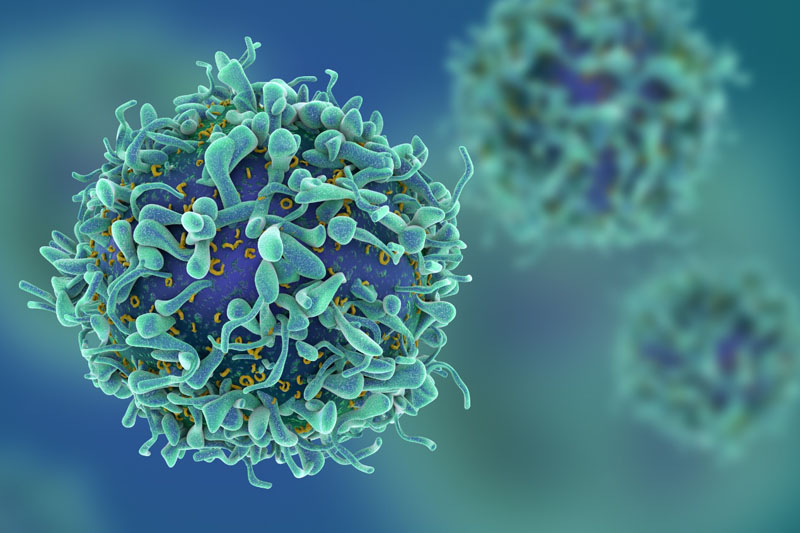 European Commission approves CAR-T therapy with lentiviral vectors from AGC Biologics
