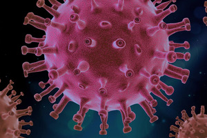 Evaluating the effects of ACE2-mediated COVID-19 infection
