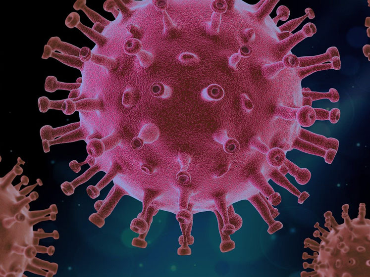 Evaluating the effects of ACE2-mediated COVID-19 infection
