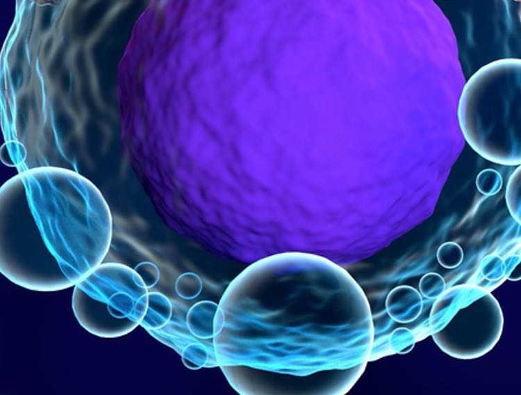 EVerZom raises $1.3m to industrialise exosome biomanufacturing platform