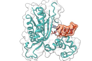 Evonetix achieves enzymatic DNA synthesis 