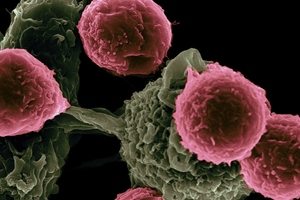 Evonetix delivers chip-synthesised DNA to the University of Cambridge