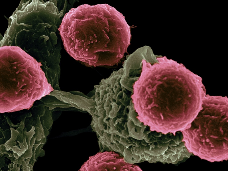 Evonetix delivers chip-synthesised DNA to the University of Cambridge