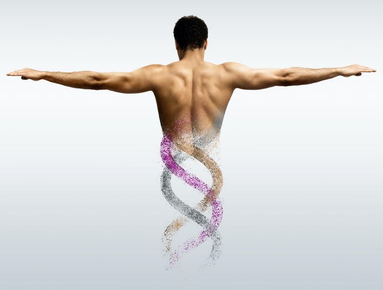 Evonik develops fermentation-based collagen production