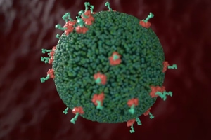 Evox announces collaboration to work on AAV vectors as novel gene technology