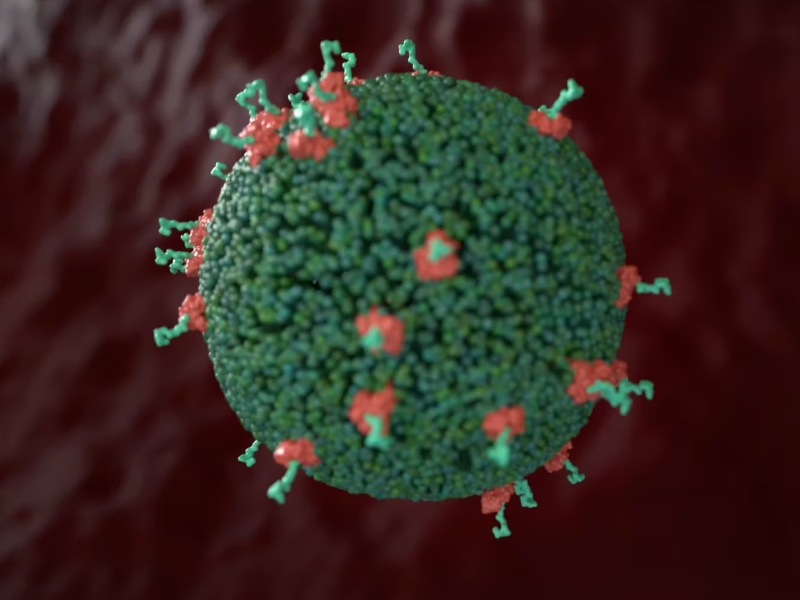 Evox announces collaboration to work on AAV vectors as novel gene technology