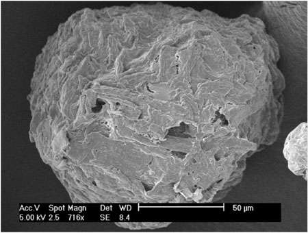 Excipient tailored for tablet performance