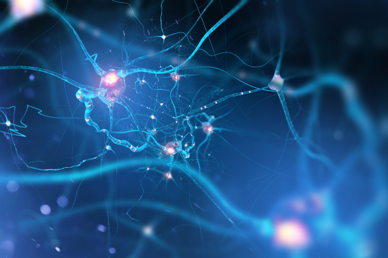 eXmoor Pharma and Evox Therapeutics complete technology transfer for Huntington's gene editing programme