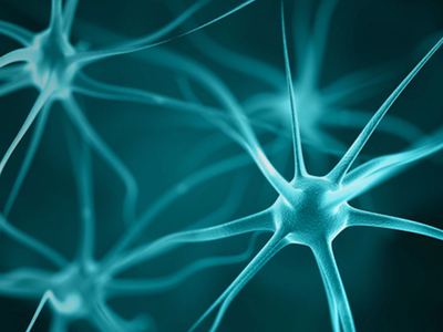 Expansion of collaboration with Biogen and expert institutions