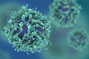Experimental cell lines help screening for CAR T therapies
