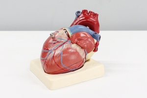 Farxiga extended in the US to reduce risk of cardiovascular death