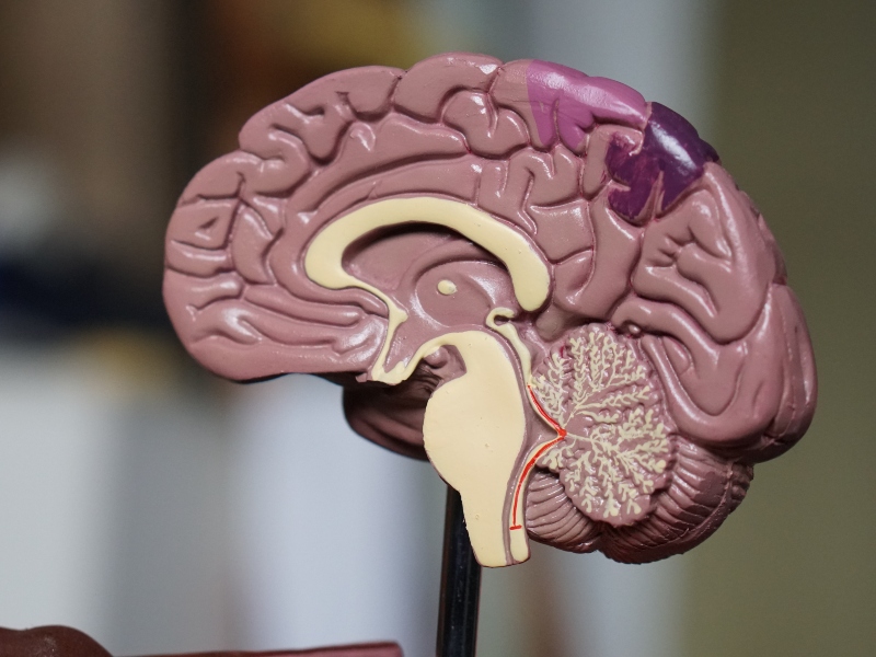 FDA grants landmark approval for Alzheimer’s treatment
