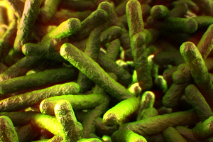 FDA issues guidance to prevent listeria