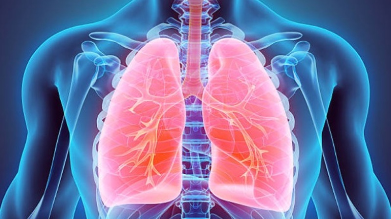 FDA to review Duaklir and Tudorza from Circassia