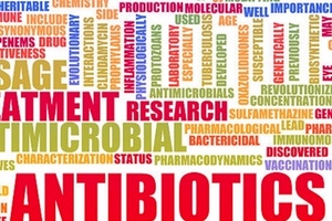 Fighting antimicrobial resistance