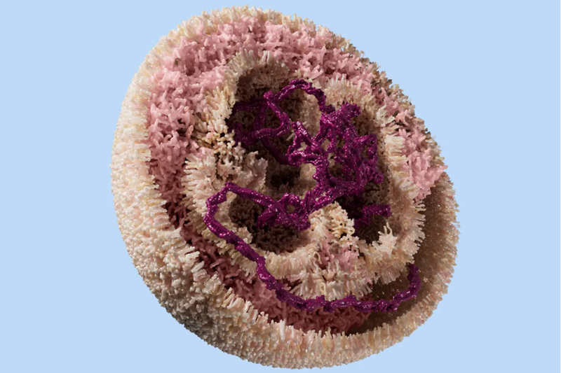Flagship Pioneering launches gene therapy-focused biotech, Mirai Bio with $50m investment