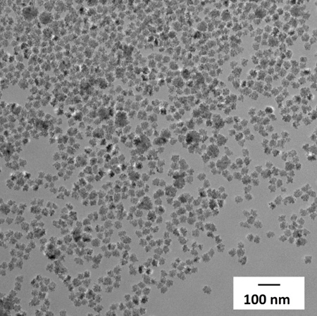 Flower-like magnetic nanoparticles target difficult tumours