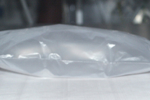 Fraunhofer Institute researchers grow plasma in bags