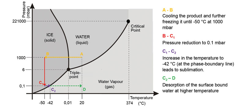 Freeze-drying: producing stable peptides