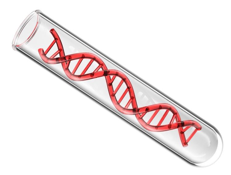 French institute approves Novacyt COVID-19 test
