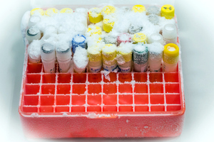 Fridge-free vaccine tech raises $2.8m in series A round