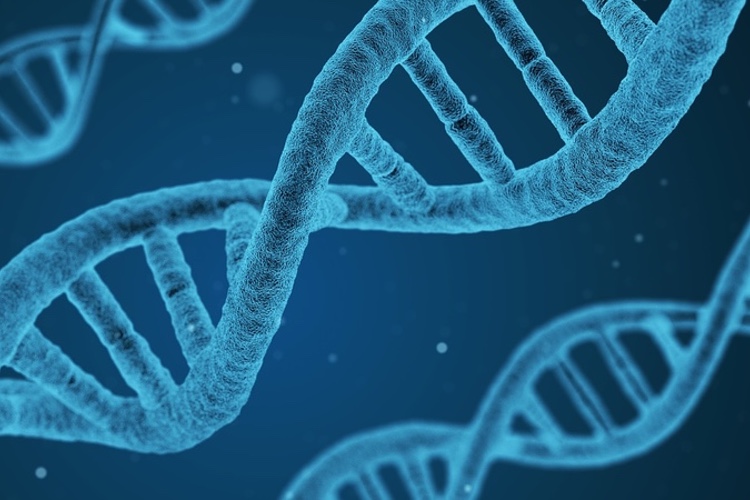 Funding to support novel cancer immunotherapy programme