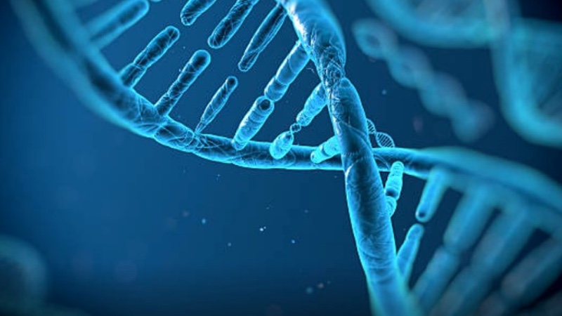 Further development of CAR-T cell therapy requires industry input