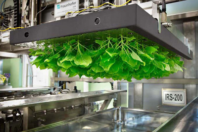 GE alliance to design plant-based manufacturing facility in Brazil