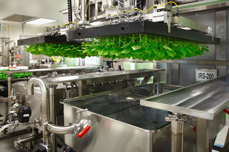 GE Healthcare and iBio extend alliance