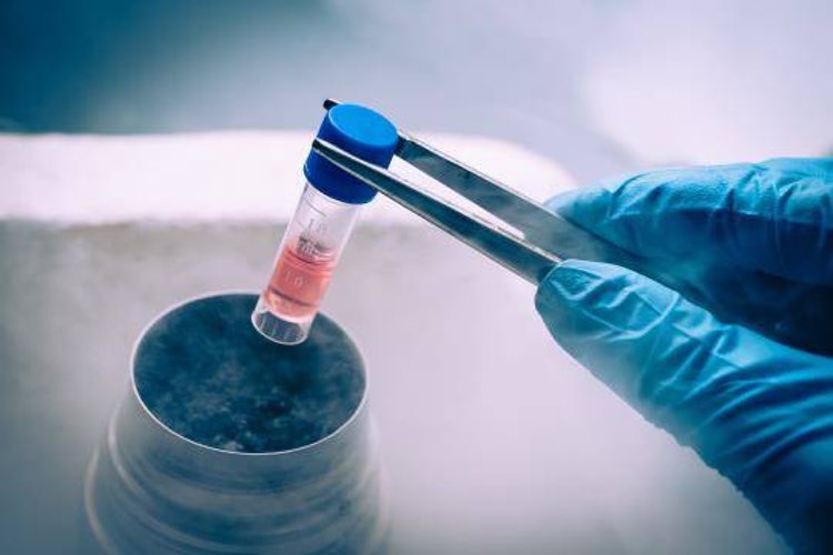 GE Healthcare and World Courier collaborate for cell and gene therapies