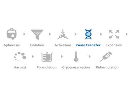 GE Healthcare Life Sciences launches software for cell therapy workflow