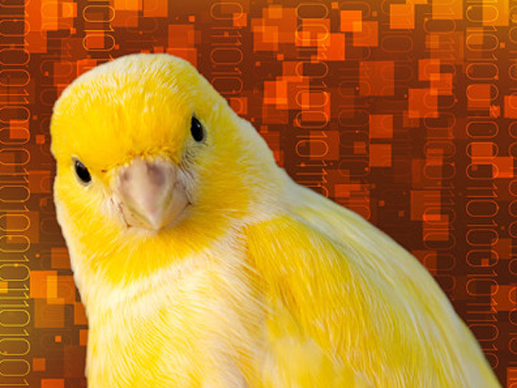 GEA BUCK Digital Canary protects operators