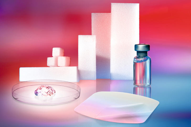 Gelita showcases advanced vaccine excipient range at BIO International 2025