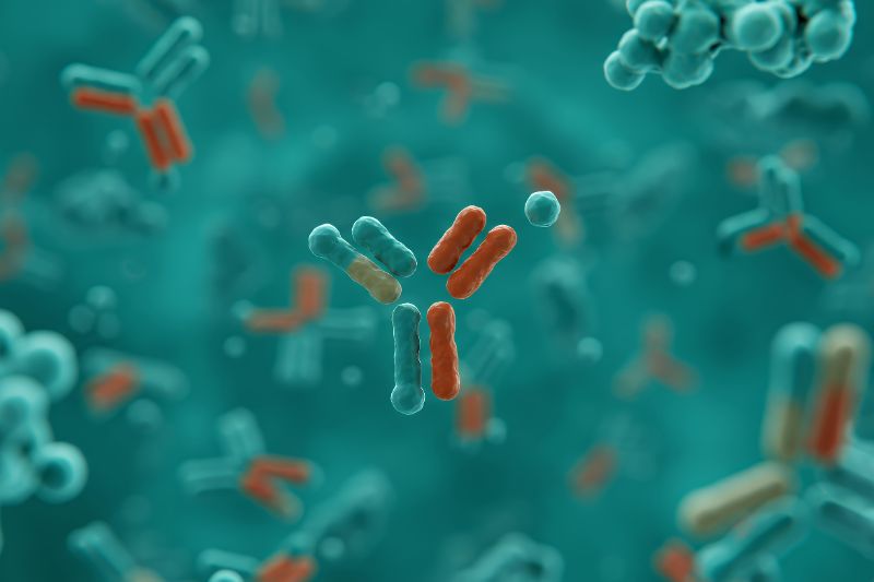GemPharmatech and MSK to enter antibody research collaboration