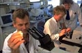 Gene Bridges licenses Red/ET recombineering to Novozymes 