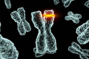 Gene modulation newcomer recieves $667,000 for proof of concept