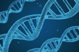 Gene transfer therapy approved for the treatment of ALL: part II 