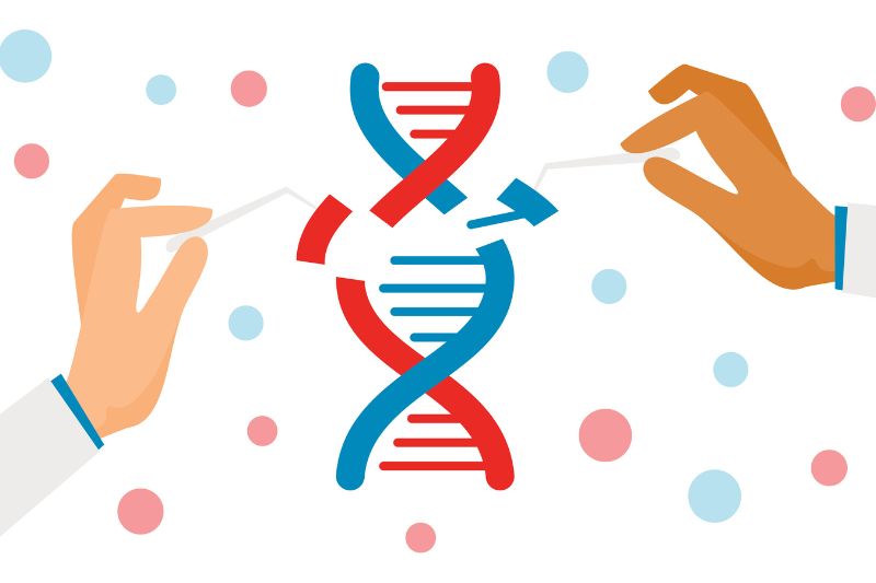 GenEditBio and ToolGen strike cross-license deal to advance next-generation in vivo genome-editing therapies