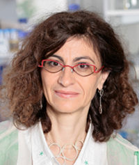 Geneviève Almouzni to receive the 2013 Women in Science Award