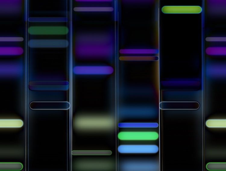 German CDMO to spend $84m expanding biological cGMP space