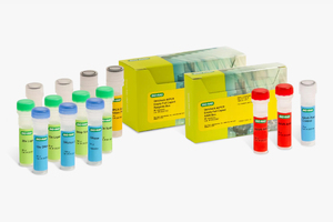 Bio-Rad Extends Range of Vericheck ddPCR Empty-Full Capsid Kits to optimise AAV Vector characterisation