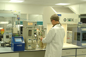 Get an in-line view with optical fibres