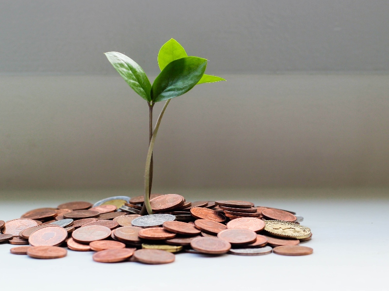 Great Bay Bio lands US$15m for Series B funding