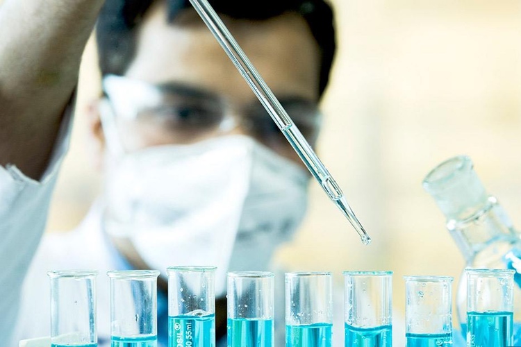 GVK Bio reveals whether research or development services perform better