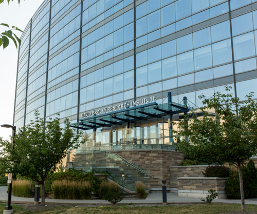 Hamilton Health Sciences chosen for BirchBioMed burn scar treatment trial