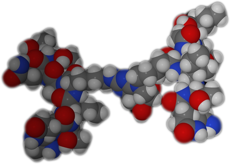 Healthy lifespan-extending drug closes seed investment round