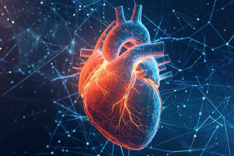 HeartBeat.bio and biotix.ai join forces to identify heart failure targets