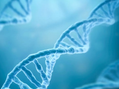 Helix Biopharma signs binding letter of intent for CAR-T development