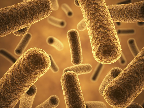 Helping probiotics to help you