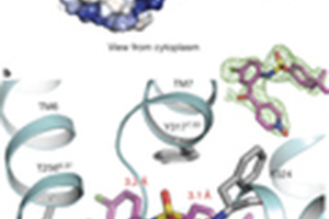 Heptares scientists solve structure of CCR9 chemokine receptor offering unique opportunity to apply structure-based design across chemokine receptor family